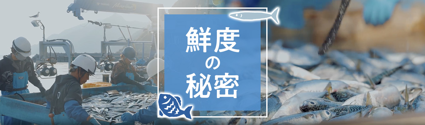 鮮度の秘密